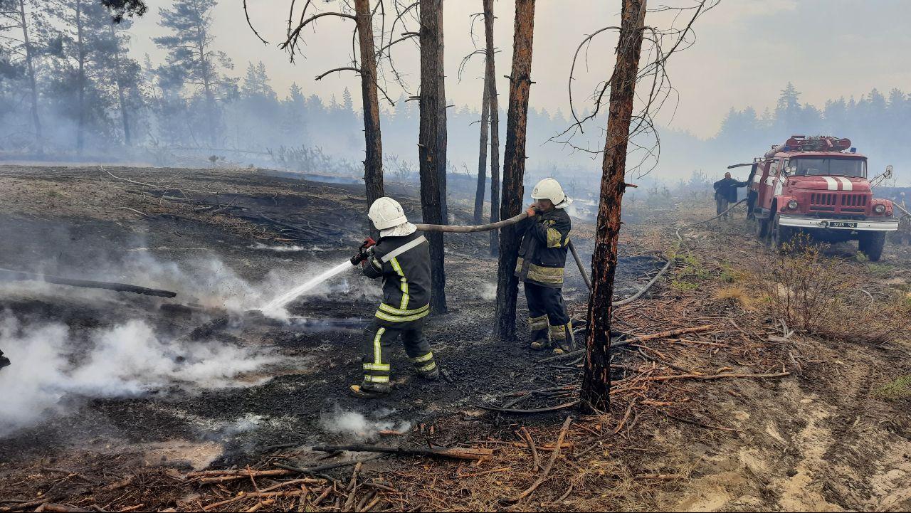 Фото пожаров со спутника