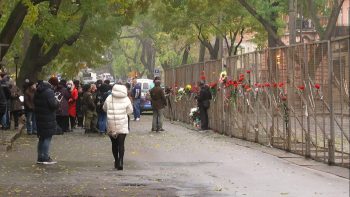 цветы у дома асвадурова