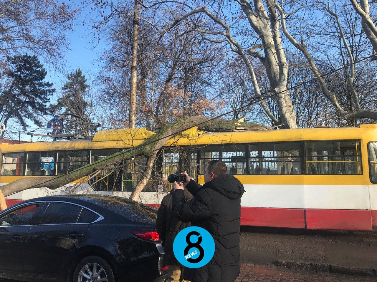 дерево оборвало провода