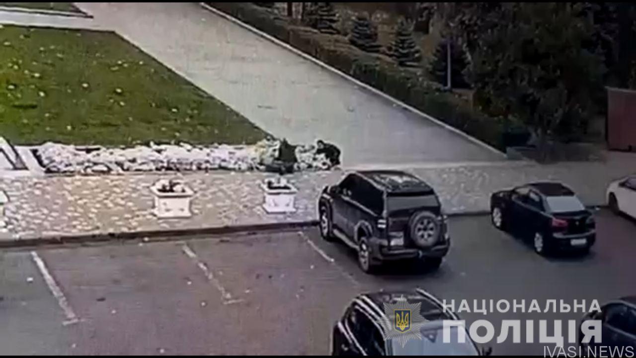 выкапывают цветы