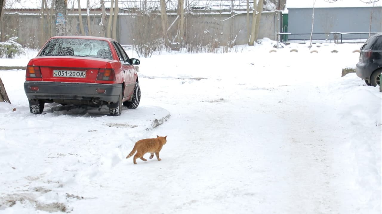 котомобиль