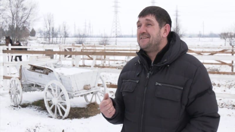 Павел и его кони: как житель Арциза решил разводить благородных скакунов