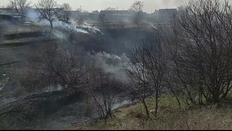 Біля Одеси кілька годин боролися з масштабною пожежею
