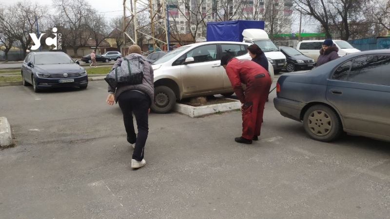 Як так можна було: в Одесі водій припаркувався посеред клумби (фото)