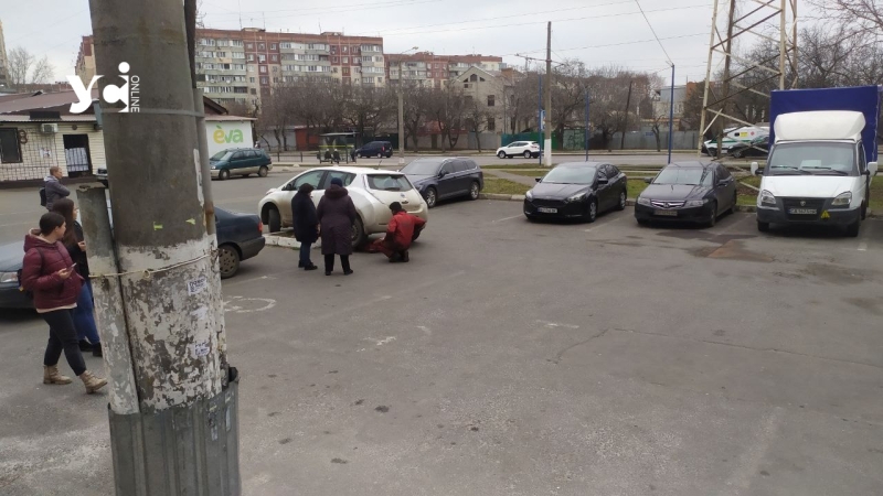 Як так можна було: в Одесі водій припаркувався посеред клумби (фото)