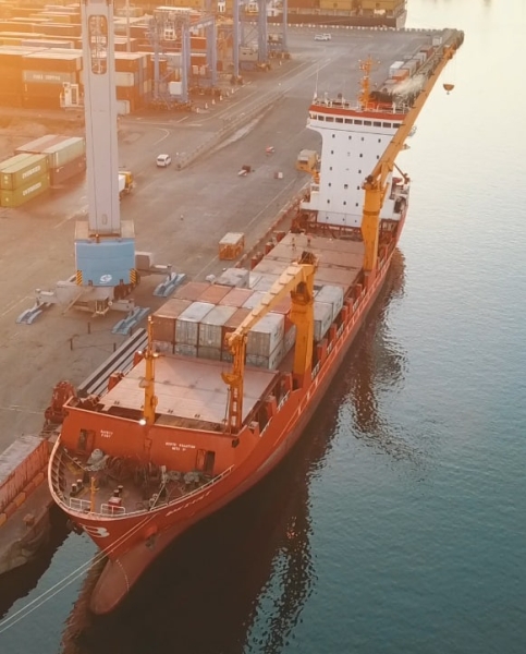 На Дунаї запустили фідерні контейнерні перевезення з Констанци до Ізмаїлу (фото)