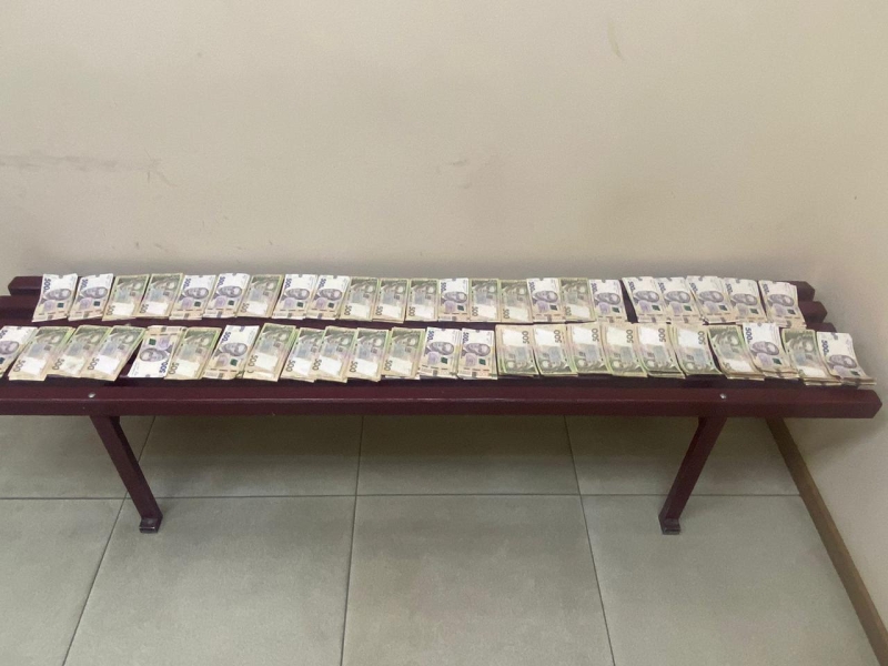На Одещині водійка намагалася вивезти за кордон майже мільйон гривень та хімікати (фото, відео)