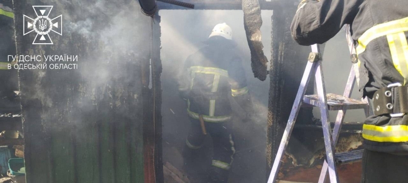 Під час пожежі в Одеській області вогнеборці врятували котика (фото, відео)