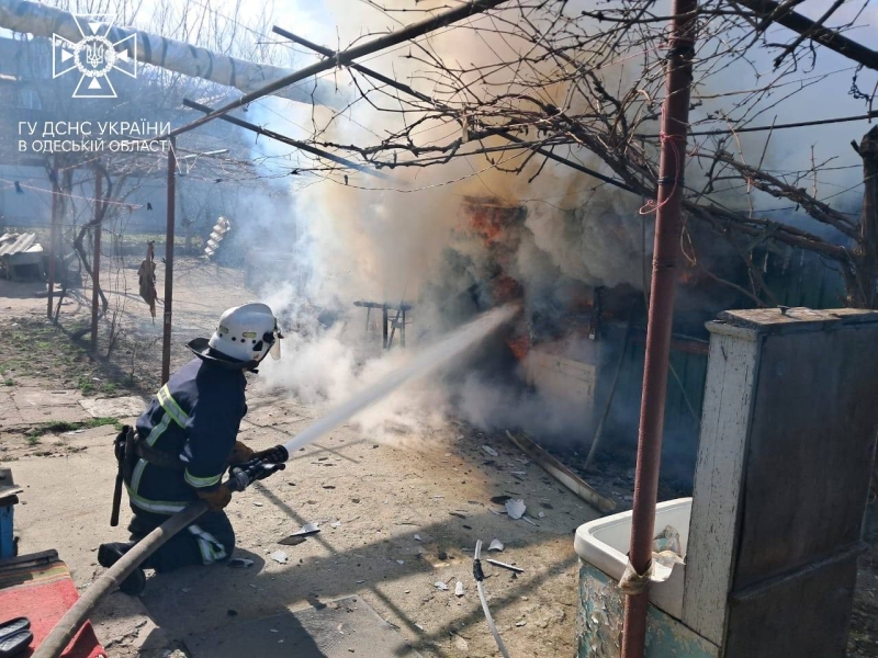 Під час пожежі в Одеській області вогнеборці врятували котика (фото, відео)