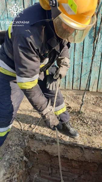 В Измаильском районе спасатели освободили из ловушки щенка (фото)