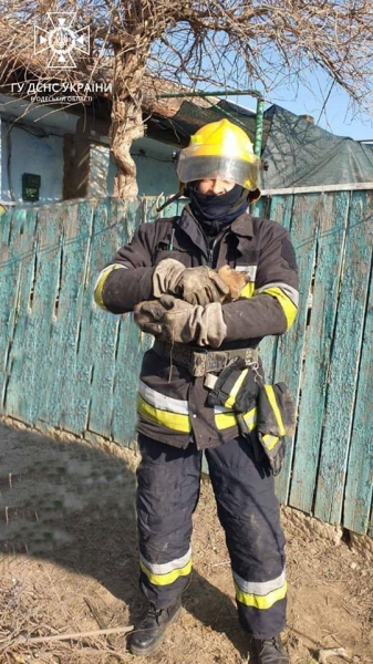 В Измаильском районе спасатели освободили из ловушки щенка (фото)