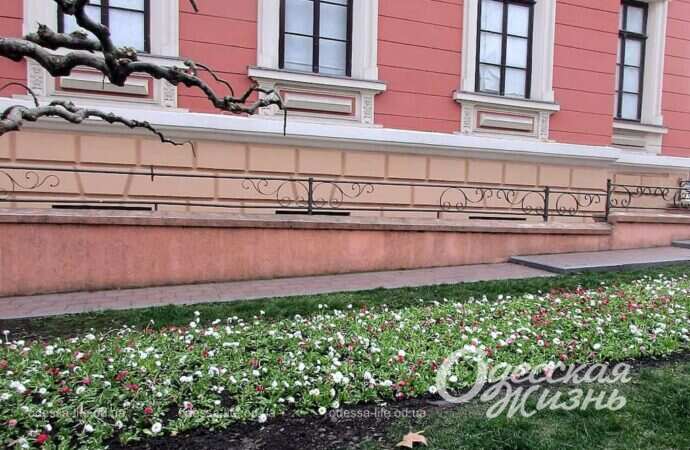 Апрельская Одесса: хмурая погода и весенние цветы (фоторепортаж)