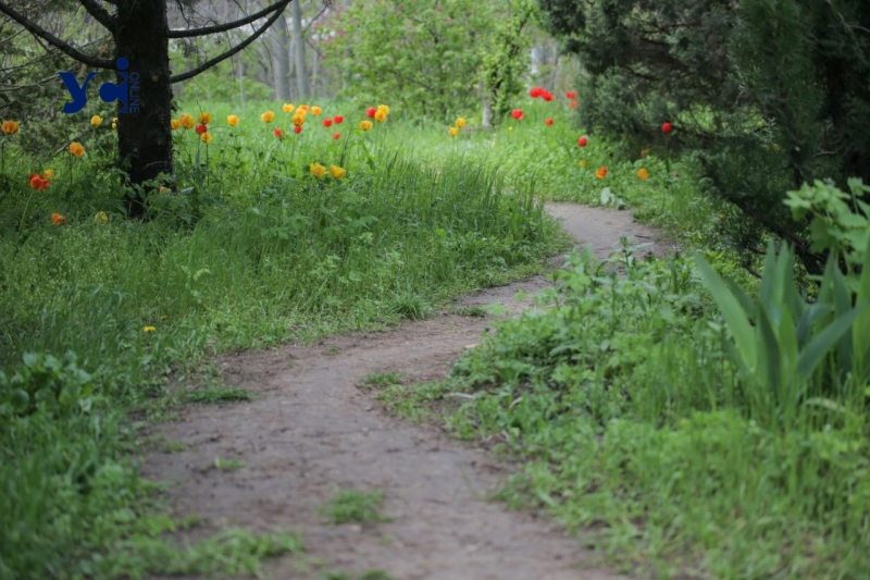 Квітнева Одеса: прогулянка по Ботанічному саду (фото)