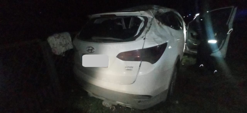 У ДТП в Одеській області постраждали троє пасажирів авто (фото)