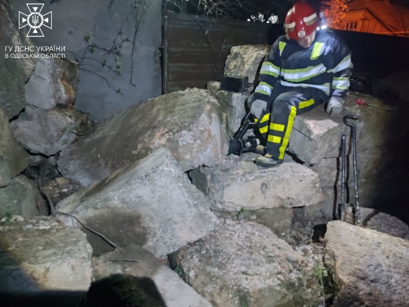 Вогнеборці Одещини врятували цуценят (фото)