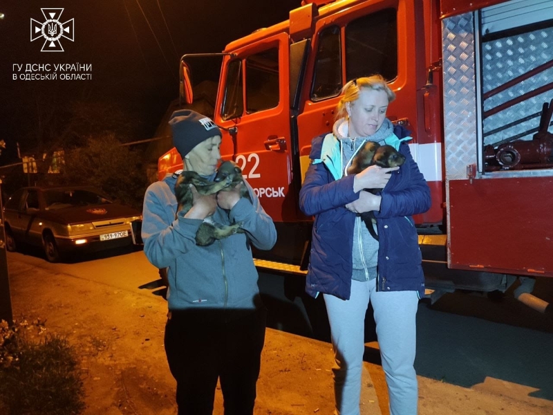 Вогнеборці Одещини врятували цуценят (фото)