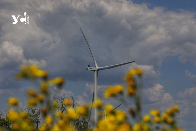 Унікальна вітроелектростанція та «Острови птахів»: екскурсія від одеських енергетиків (фото, відео)