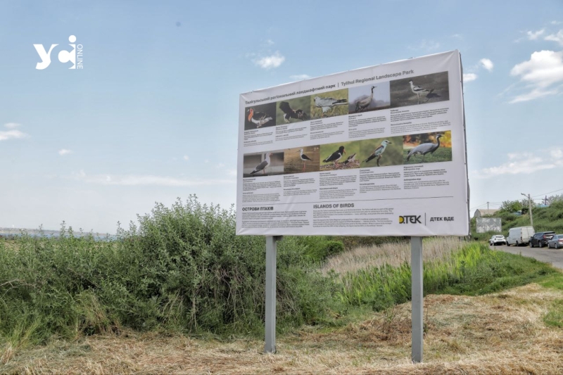 Унікальна вітроелектростанція та «Острови птахів»: екскурсія від одеських енергетиків (фото, відео)