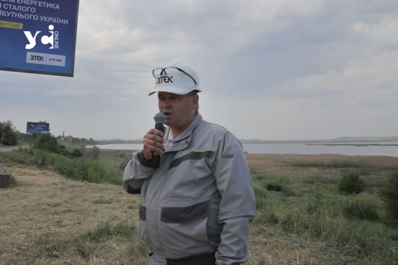 Унікальна вітроелектростанція та «Острови птахів»: екскурсія від одеських енергетиків (фото, відео)