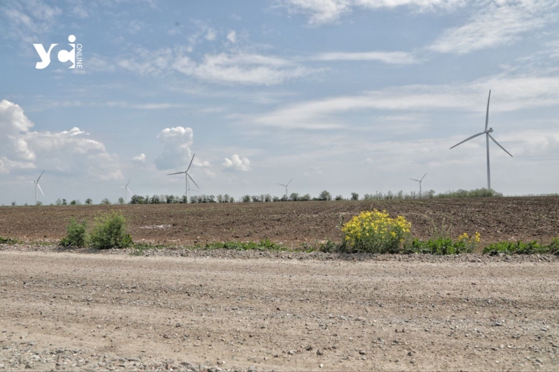 Унікальна вітроелектростанція та «Острови птахів»: екскурсія від одеських енергетиків (фото, відео)