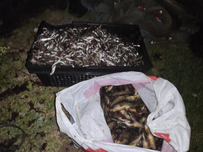 В Белгород-Днестровском районе из лимана извлекли почти 30 браконьерских орудий ловли