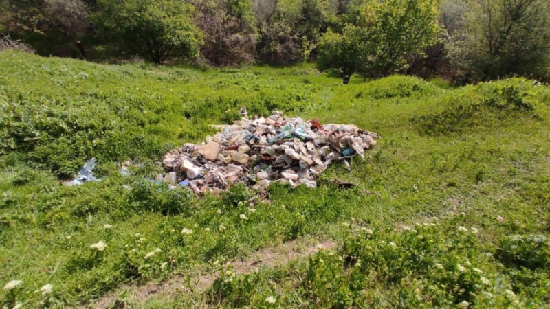 В Болградской громаде госслужащие собрали более 80 кубометров мусора (фото)