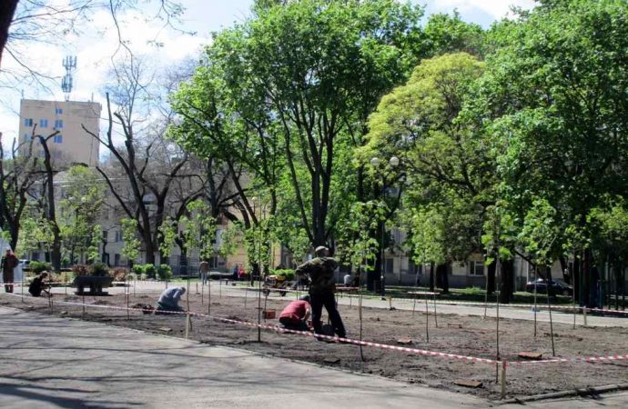 В Одессе преображают Прохоровский сквер: там будут особые деревья