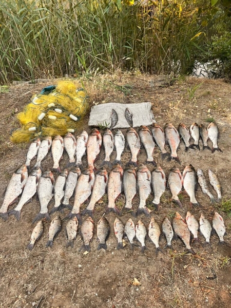 На реке Дунай разоблачили браконьера с большим уловом рыбы (фото, видео)