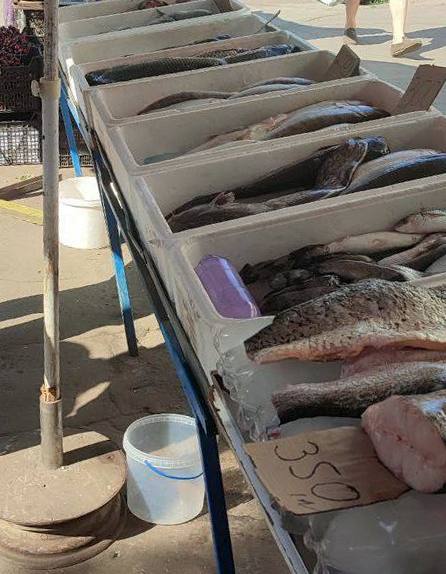 На ринках Одеси проводять «рейди на рибу» (фото)
