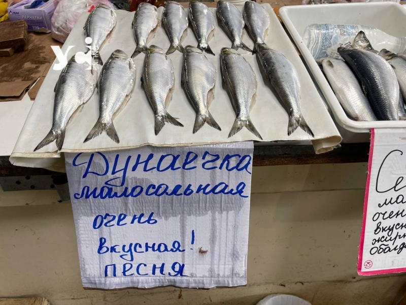 Одеський Привоз: ціни на початку літа (фото)