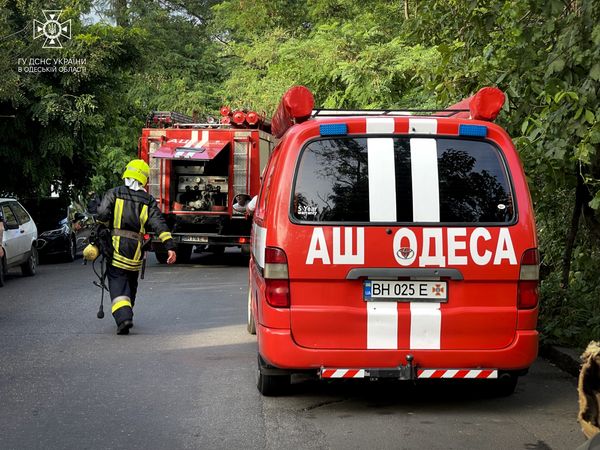 На Молдаванці в Одесі через газову плиту спалахнула квартира, з неї врятували собаку (фото)