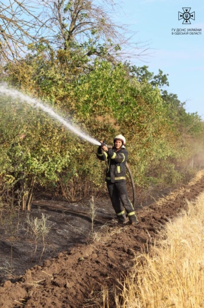 На Одесчине за сутки огонь уничтожил почти 26 гектаров земли (фото)