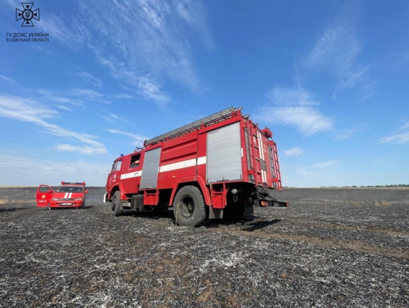 На Одесчине за сутки огонь уничтожил почти 26 гектаров земли (фото)