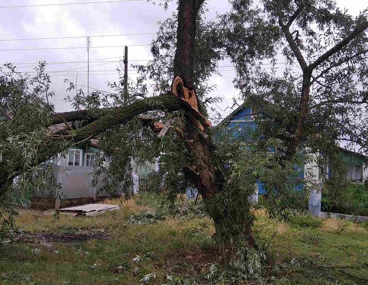 Стихія знищила понад 500 га посівів та зривала дахи з будинків у селах Одещини