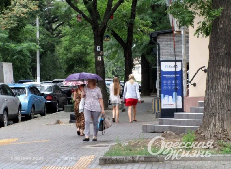 Без молний и грома: в Одессе — августовский дождь (фоторепортаж)