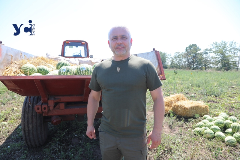 На Одещині вперше збирають масштабний врожай кавунів: як це відбувається (фото)