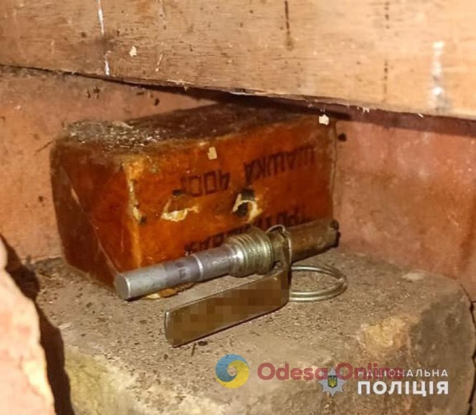У жителя Одесской области нашли тротил, гранату, патроны и марихуану