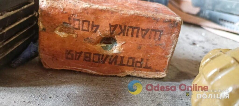 У жителя Одесской области нашли тротил, гранату, патроны и марихуану