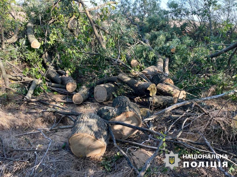 На Одещині затримали сім’ю «чорних лісорубів» (фото)