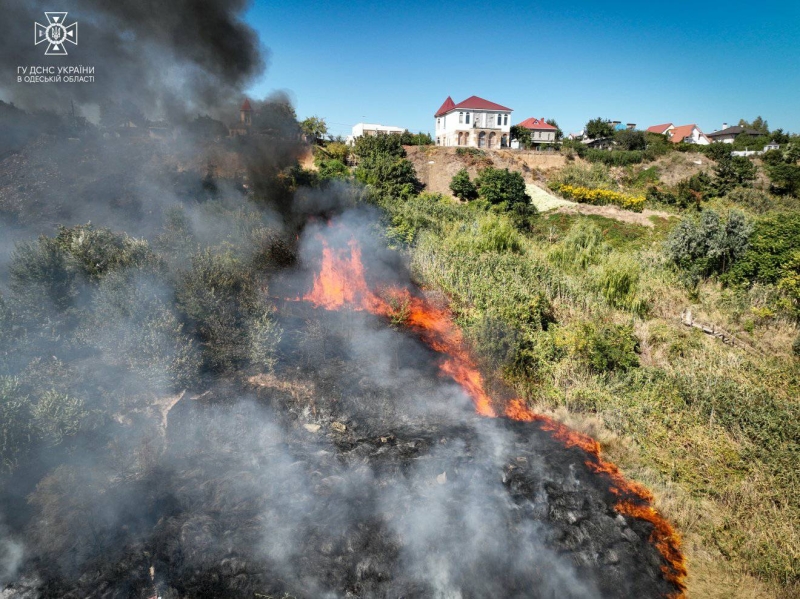На схилах узбережжя в Одесі сталася масштабна пожежа (фото,відео)