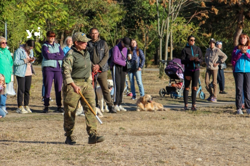 Незвична психологічна допомога: в Одесі представили собак-терапевтів (фото, відео)