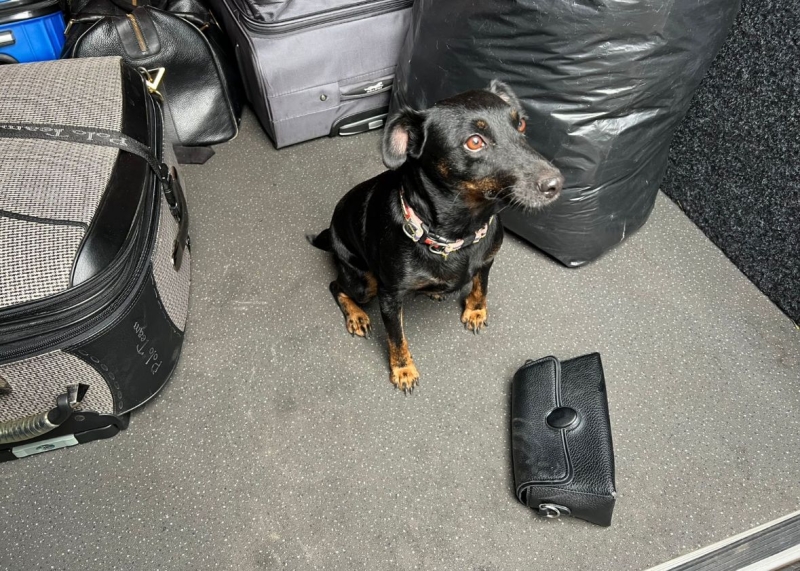 Українка намагалася провезти амфетамін у рейсовому автобусі (фото)